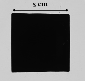 Catalyst Coated Membrane (CCM) 25 cm²